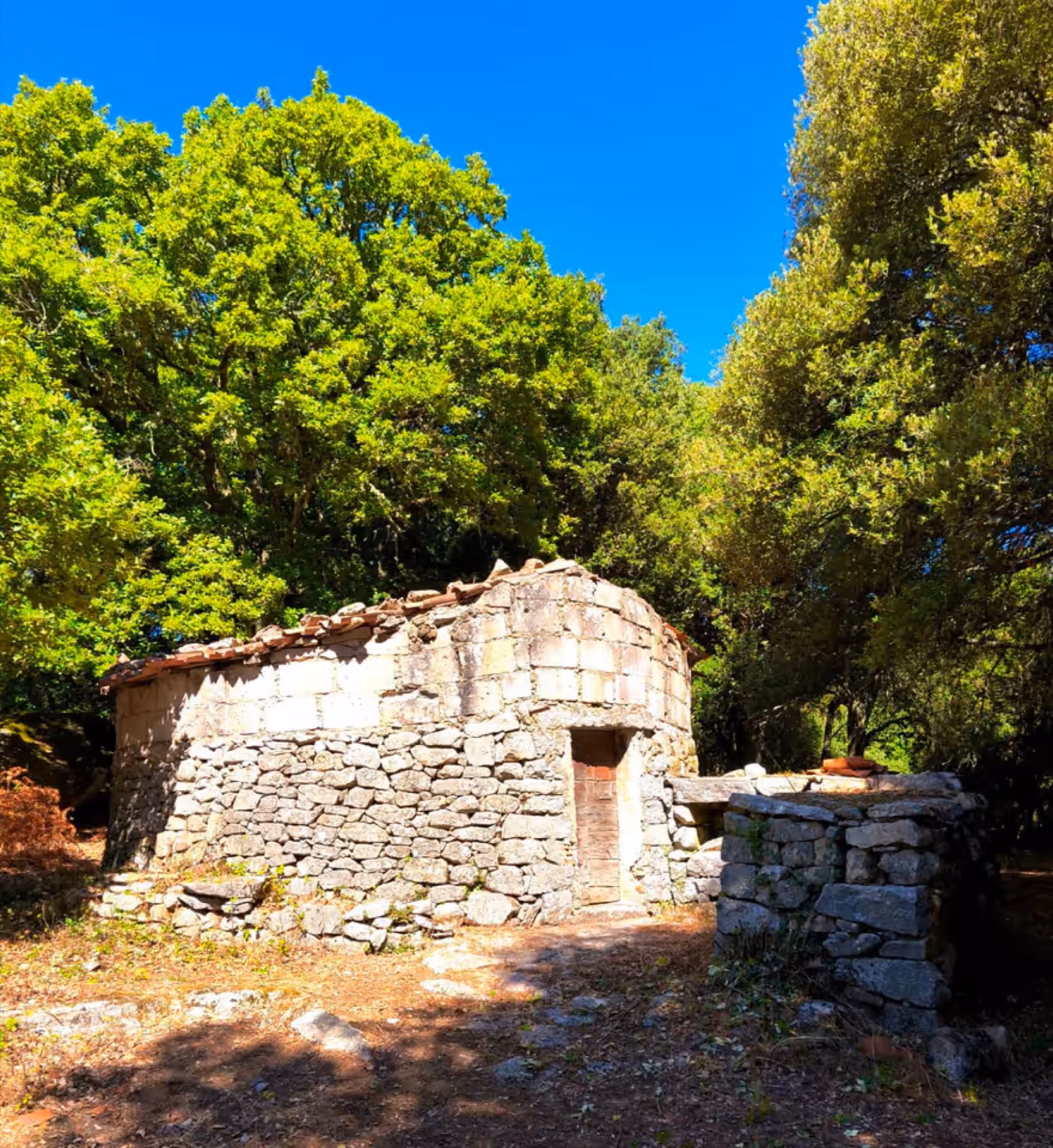 Antica capanna in pietra tra gli alberi del bosco