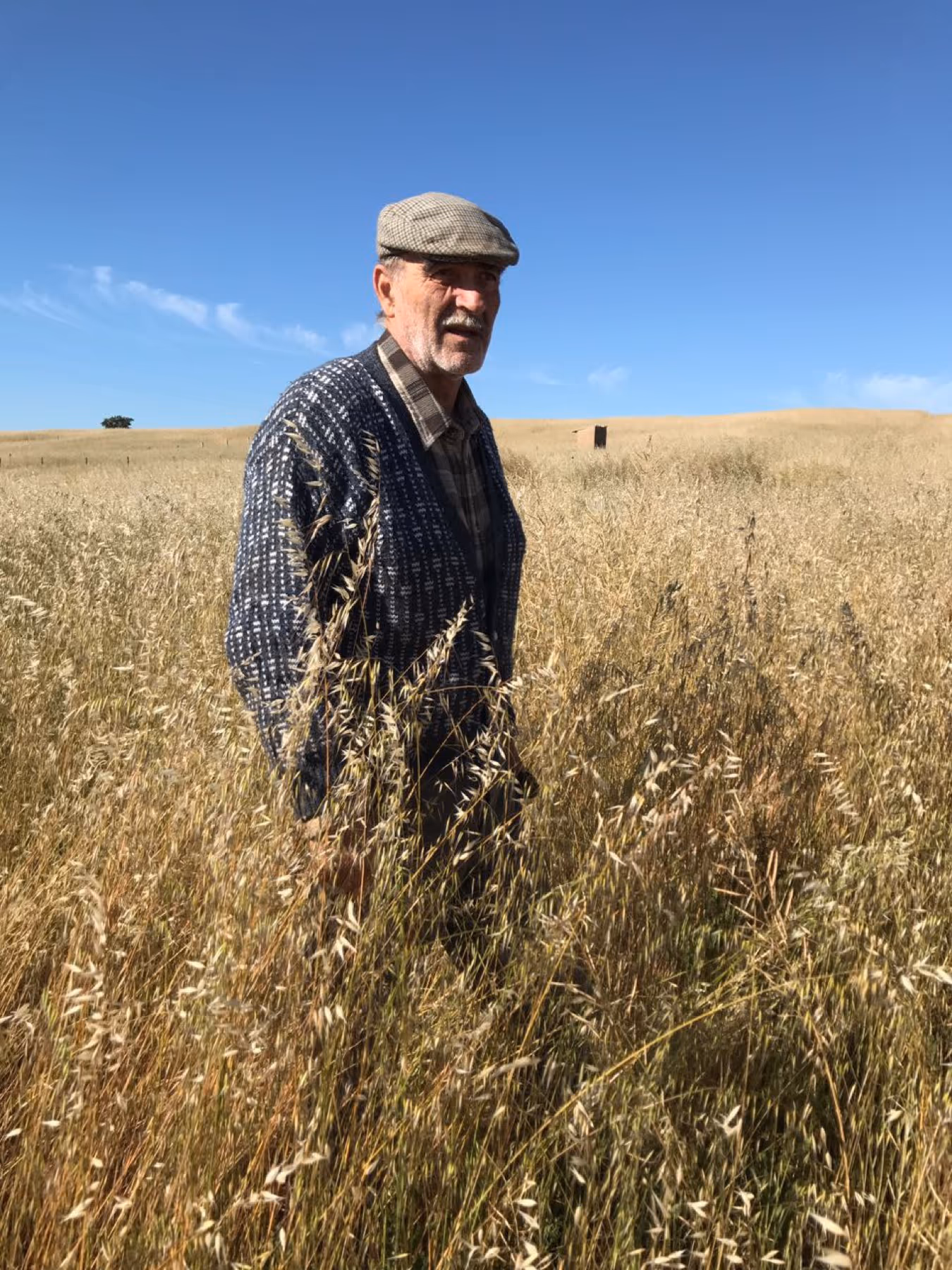 Un uomo in piedi in un campo di grano