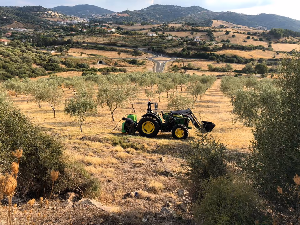 Il trattore al lavoro nell'uliveto, con Ozieri sullo sfondo